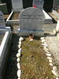 image of grave number 278384